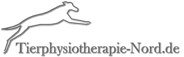 Hundephysiotherapie bei Hamburg